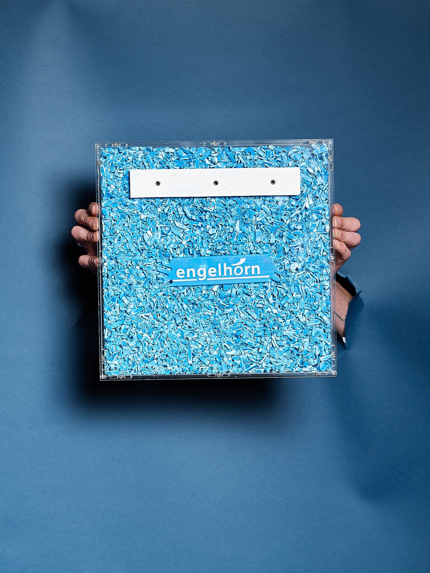 ppablo x engelhorn BLU/WHT